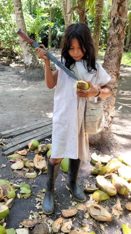 ילד משבט הקוגי, פותח קוקוס בעזרת מנצ'טה (סכין גדולה)