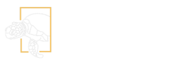 לוגו האתר יום אחד