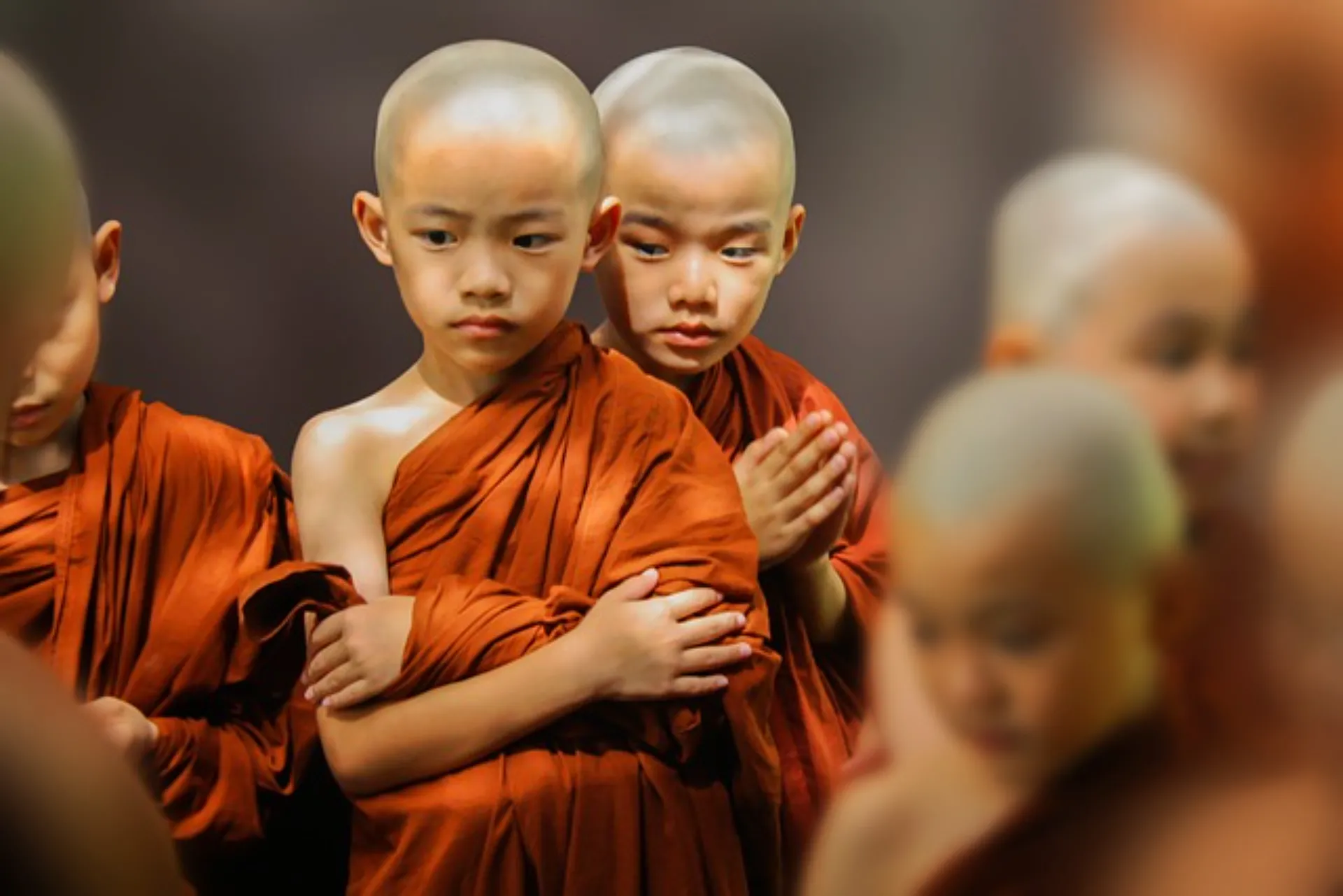 נזירים בודהיסטים צעירים מתפללים