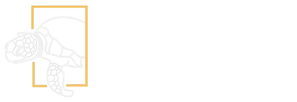 לוגו אתר יום אחד - מעבר לדף הבית